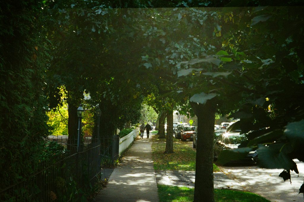 Quiet residential street used to reflect a thoughtful pause in the real estate decision-making process.