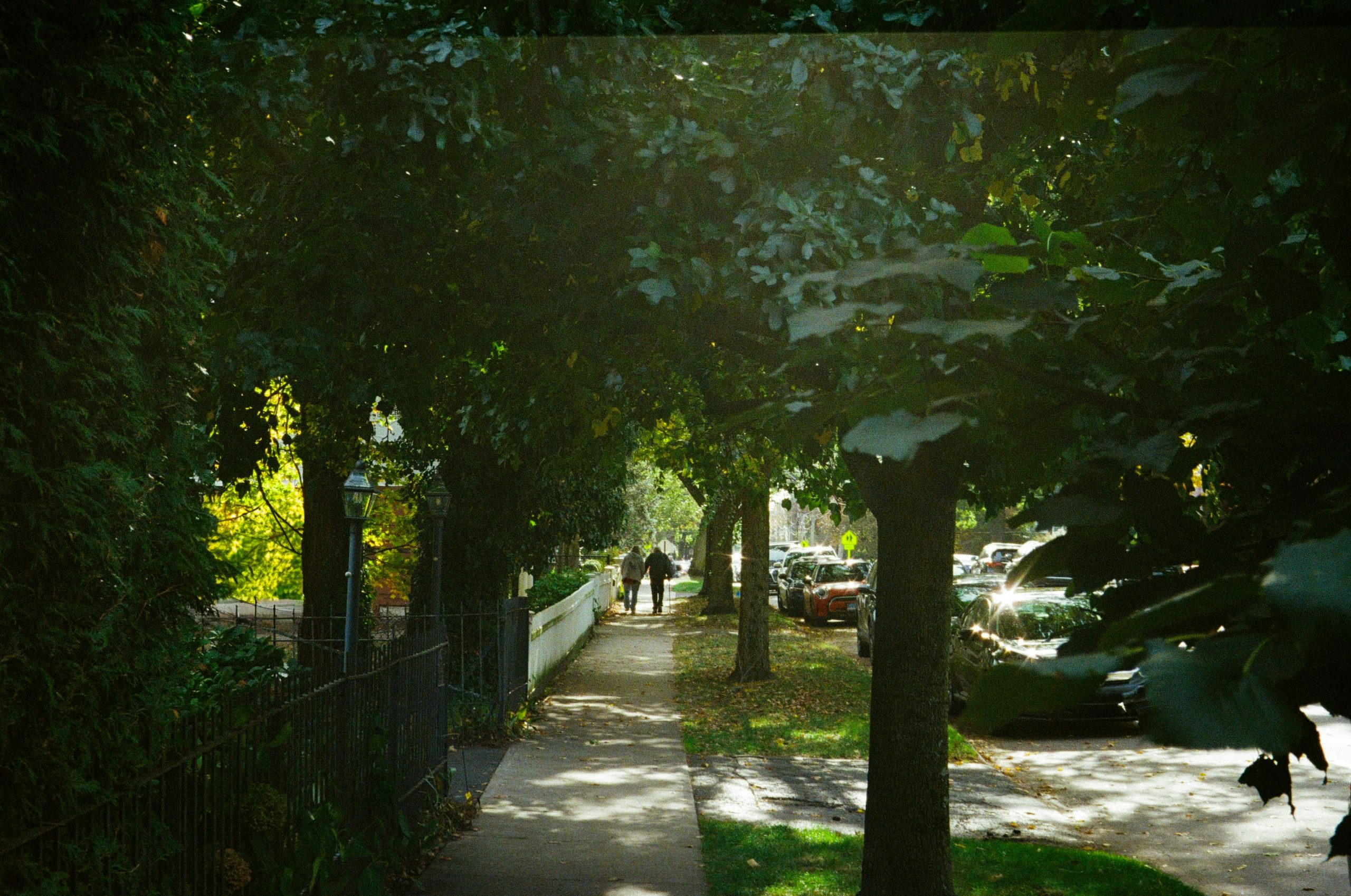 Quiet residential street used to reflect a thoughtful pause in the real estate decision-making process.